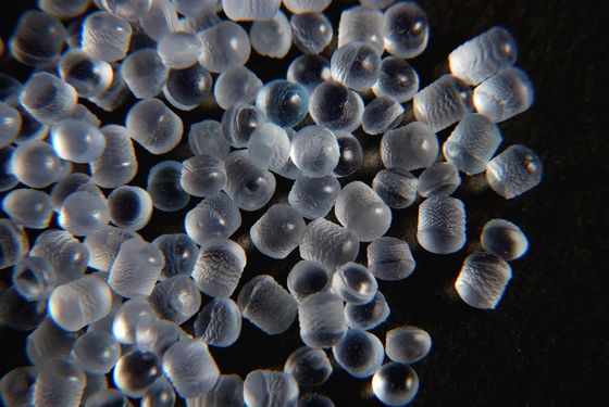 O TPE macio super dos grânulo translúcidos transparentes do TPE granula o elastómetro termoplástico de SEBS